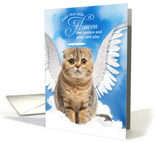 Pet Sympathy Loss of a Cat Scottish Fold Angel card (1930192)