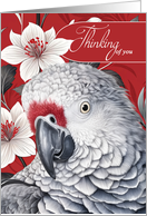 Thinking of You African Grey Parrot with Red and White Lilies card