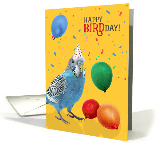 Cute Blue and White Budgie Parakeet Birthday Humor with Balloons card