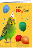 Cute Green and Yellow Budgie Parakeet Birthday Humor with Balloons card