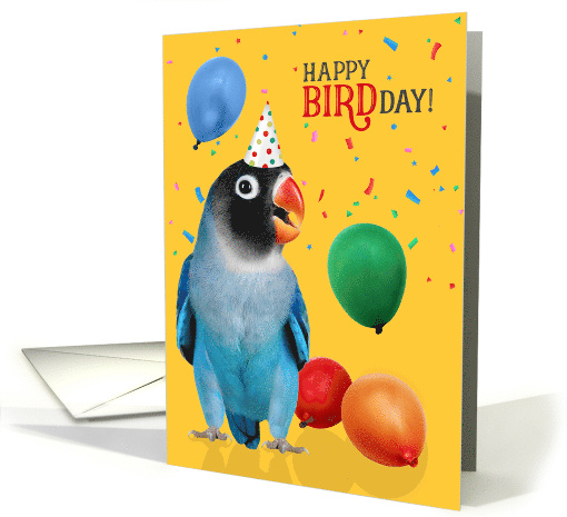 Cute Blue Lovebird Parrot Birthday Humor with Balloons card (1932404)