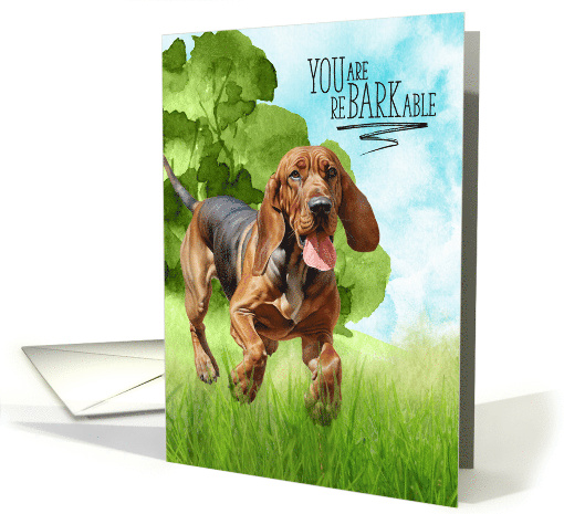 Congratulations reBARKable Bloodhound Dog in the Country card