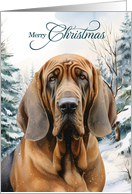 Bloodhound Dog Happy Holidays Woodland Forest card