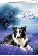 Pet Sympathy Border Collie Dog Serene Lavender Meadow card