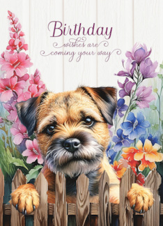 Birthday Border Terrier Dog Garden Fence with Gladiolus