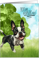 Congratulations reBARKable Boston Terrier Dog in the Country card