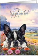Missing You Boston Terrier Dog in a Field of Wildflowers card