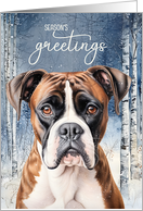 Boxer Dog Season’s Greetings Winter Birch Tree Forest card