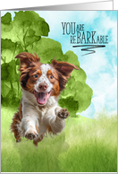Congratulations reBARKable Brittany Spaniel Dog in the Country card
