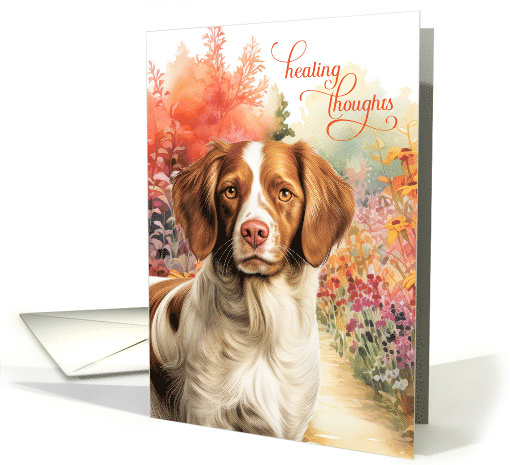 Get Well Brittany Spaniel Dog Colorful Garden Path card (1936488)