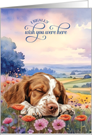 Missing You Brittany Spaniel Dog in a Field of Wildflowers card