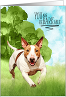 Congratulations reBARKable Bull Terrier Dog in the Country card