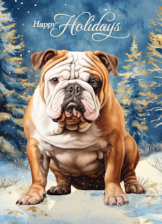 English Bulldog...