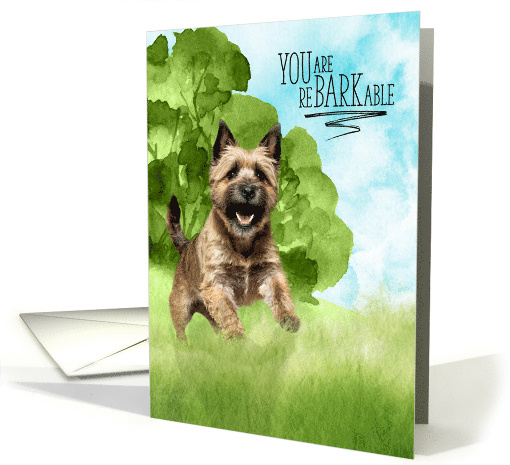 Congratulations reBARKable Cairn Terrier Dog in the Country card