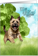 Congratulations reBARKable Cairn Terrier Dog in the Country card