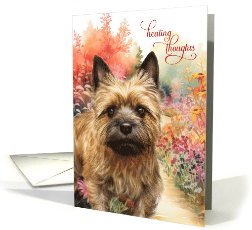 Get Well Cairn Terrier Dog Colorful Garden Path card (1939148)