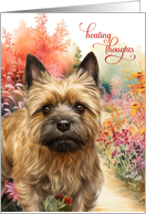 Get Well Cairn Terrier Dog Colorful Garden Path card