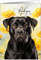 Thank You Cane Corso Dog and Golden Poppies card