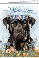 Mother’s Day Cane Corso Dog with Wildflower Botanicals Blue card