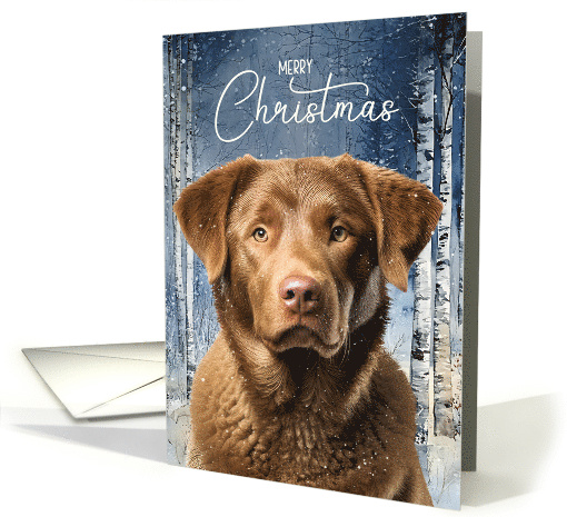 Chesapeake Bay Retriever Dog Merry Christmas Woodland Forest card