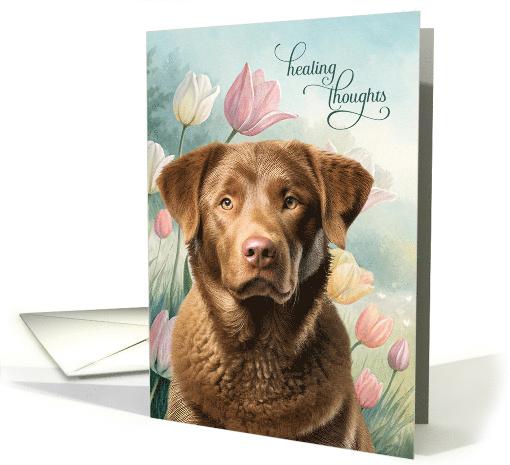 Get Well Chesapeake Bay Retriever Dog with Pastel Tulips card