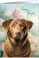 Get Well Chesapeake Bay Retriever Dog with Pastel Tulips card