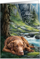 Thinking of You Chesapeake Bay Retriever Dog Mountain Stream card