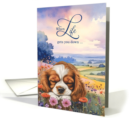 Encouragement Cavalier King Charles Spaniel in a Field of... (1944232)