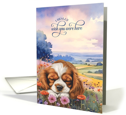 Missing You Cavalier King Charles Spaniel in a Field of... (1944236)
