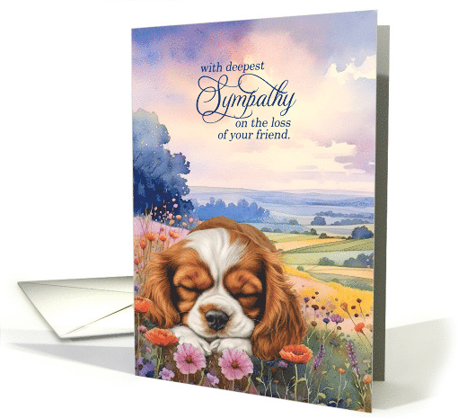 Pet Sympathy Cavalier King Charles Spaniel in a Field of... (1944238)