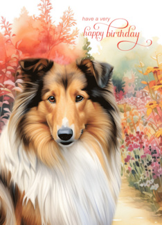 Rough Collie Dog Birthday Colorful Garden Path