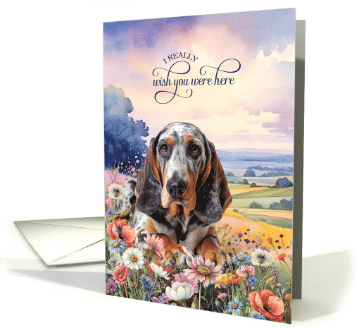 Missing You Bluetick Coonhound Dog in a Field of Wildflowers card
