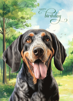 Birthday Bluetick Coonhound Dog in a Country Meadow
