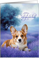 Miss You Pembroke Welsh Corgi Dog in a Field of Lavender card