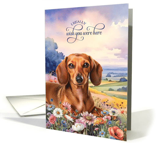 Missing You Dachshund Dog in a Field of Wildflowers card (1946954)