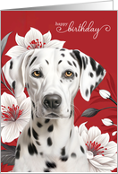 Birthday Dalmatian Dog with White Lilies on Red card