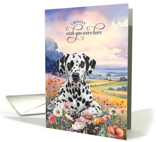 Missing You Dalmatian Dog in a Field of Wildflowers card (1947676)