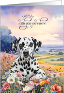Missing You Dalmatian Dog in a Field of Wildflowers card