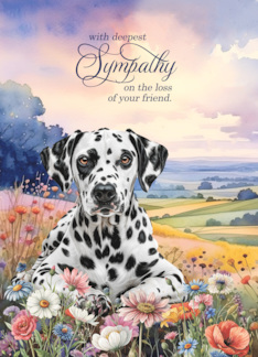 Sympathy Dalmatian Dog in a Field of Wildflowers