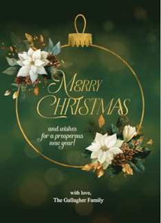 Christmas White Poinsettias with Golden Hues on Green Custom