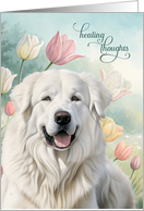Get Well Great Pyrenees Dog Pastel Tulip Garden card