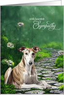 Pet Sympathy Greyhound Dog Misty Garden Path