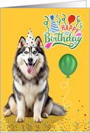 Birthday Siberian Husky Dog in a Party Hat on Yellow