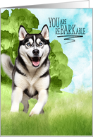Congratulations reBARKable Siberian Husky Dog in the Country