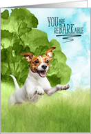 Congratulations reBARKable Jack Russell Terrier Dog in the Country