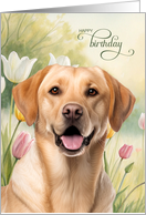Birthday Yellow Lab Dog with Pastel Tulips in a Garden Setting card