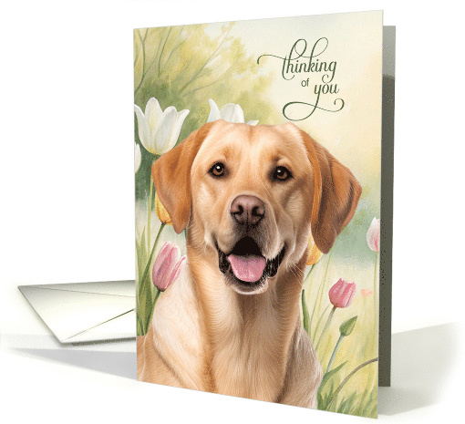 Thinking of You Yellow Lab Dog with Pastel Tulip Garden card (1960628)