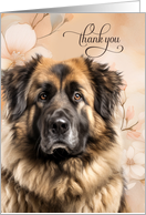 Thank You Leonberger Dog with Peach Magnolia Blooms card