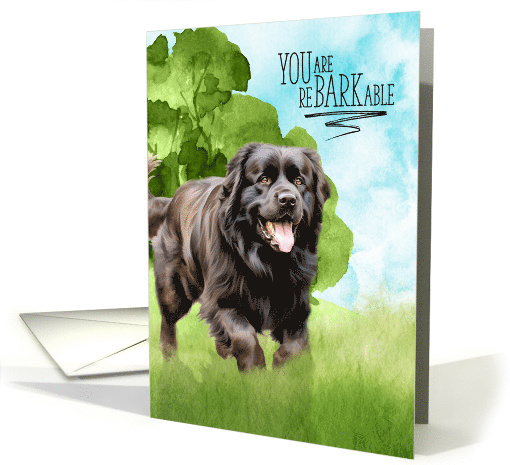 Congratulations reBARKable Newfoundland Dog in the Country card