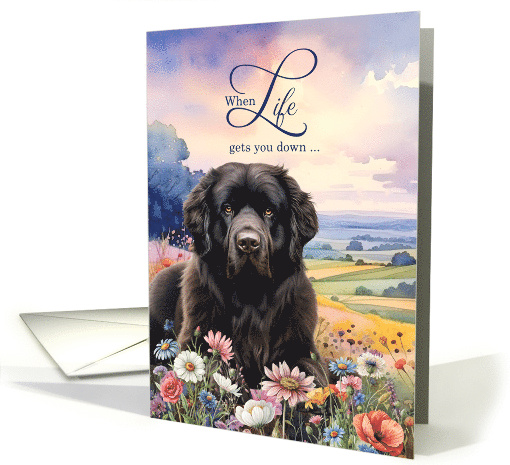 Encouragement Newfoundland Dog in a Field of Wildflowers card